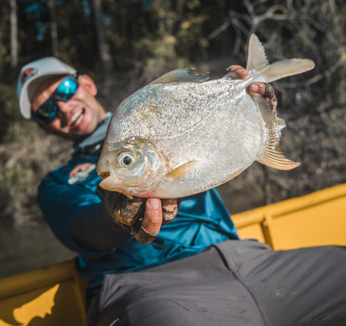 Angler showcasing a stunning silver Palometa. Experience the diversity of Colombia's waters—reserve your fly fishing adventure today!