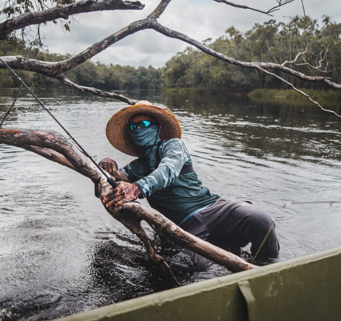 Angler perched on a tree branch over the Orinoco River, scouting for the perfect catch. Experience the best fly fishing trip in Colombia—book your adventure now!