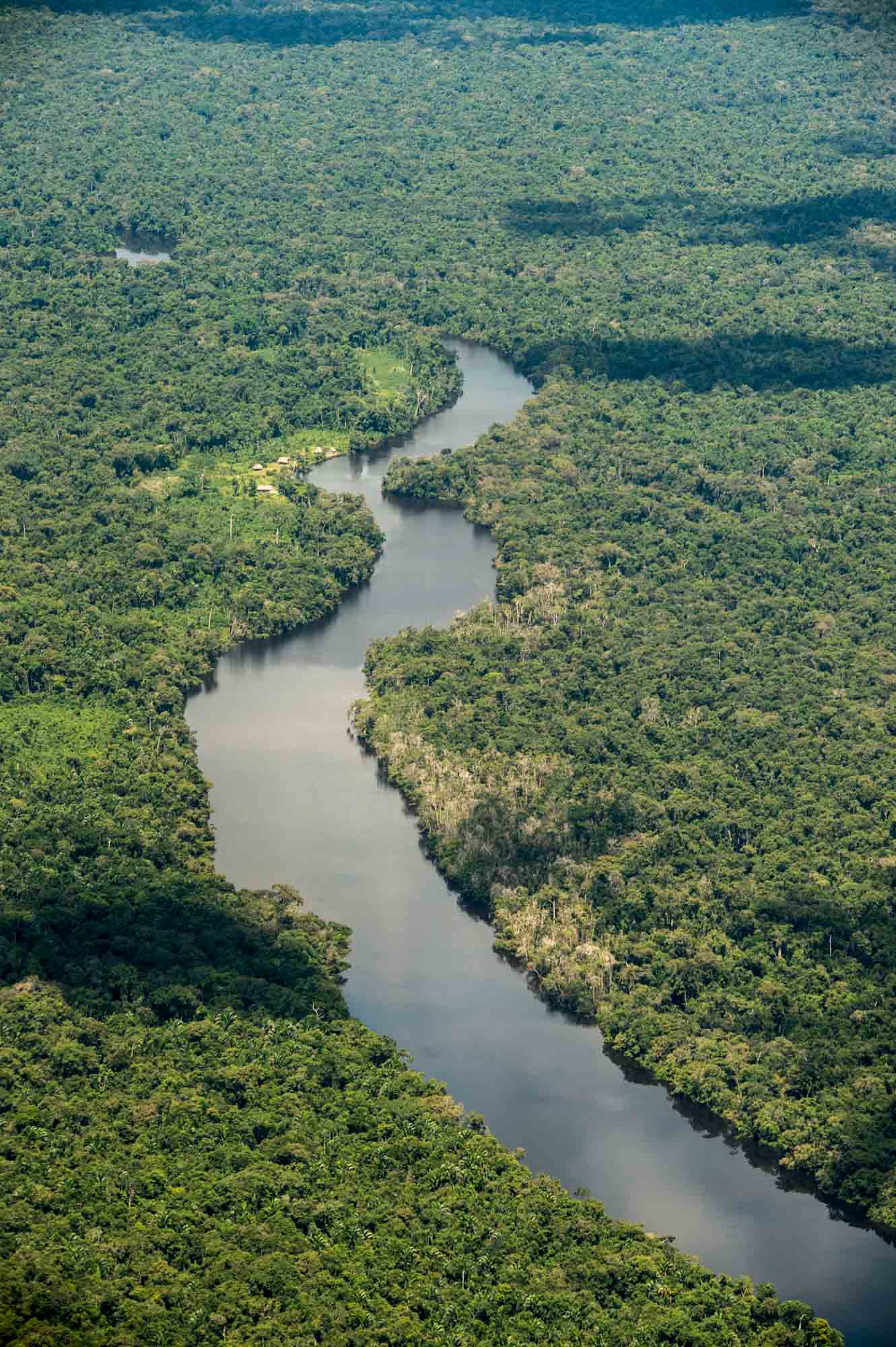 Scenic view of anglers enjoying freshwater fishing in Colombia, surrounded by the pristine beauty of the Amazon rainforest, targeting Peacock Bass and other exotic species