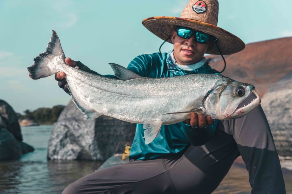Angler with a large Payara caught in Colombia's Amazon River – highlighting an impressive trophy fish during an exclusive fly fishing adventure.