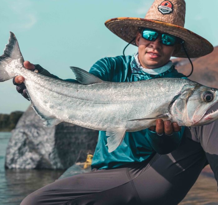 Angler with a large Payara caught in Colombia's Amazon River – highlighting an impressive trophy fish during an exclusive fly fishing adventure.