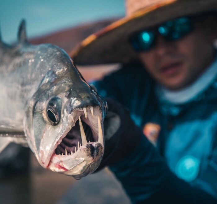 Orinoco River Lodge, a premier destination for Colombia fly fishing, offering exclusive luxury and unmatched privacy along the Orinoco River. Experience the best of Colombia's fly fishing with Fishing ByEcolodge