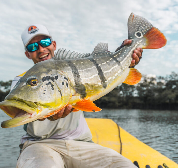 Proud angler holding a beautiful Peacock Bass. Discover the excitement of fishing in Colombia—book your fly fishing trip today!